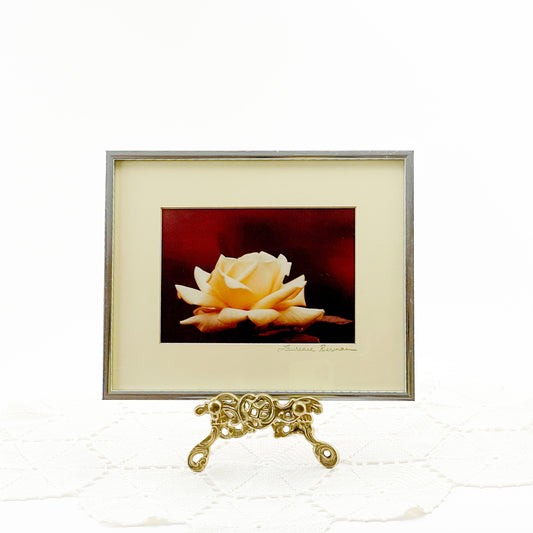 Vintage Original Signed White Rose Framed Photography