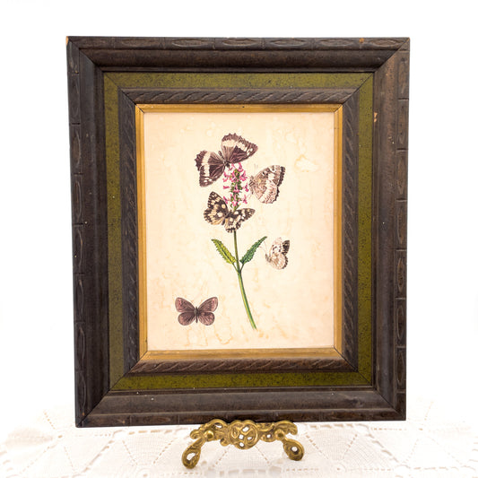 Vintage 1955 Butterflies and Flowers - Wood Framed Print